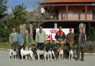 ������ ������� 2005