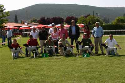 K������� ���������