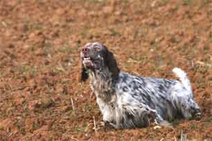 A��������