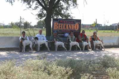 ������� ��������