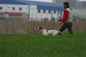 � �. ������� �������� ��� Zak ��� ������ ��� ����� ��� ������ ��� Derby ��� ������� ��� �� 2007.
