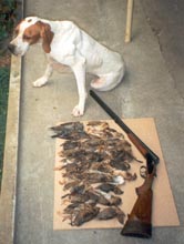 ������� �� ���������� ����� ��  ������� �������