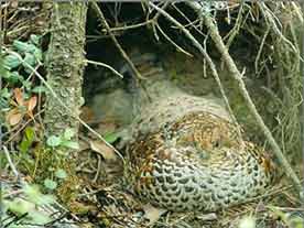 � ����� ��� � ������ ��������� ������ ��� ��� � ������� !