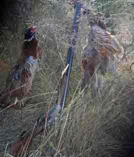 �� ���������� 4,30 ���� ������� �������� !