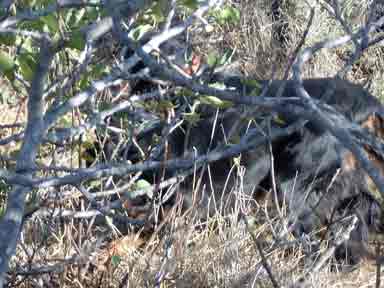 M�� ��� ��� ������ ������ !