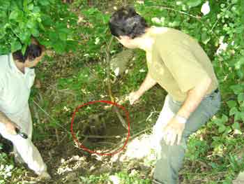 ������� ������ ��������