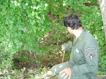 ������� ������ ��������